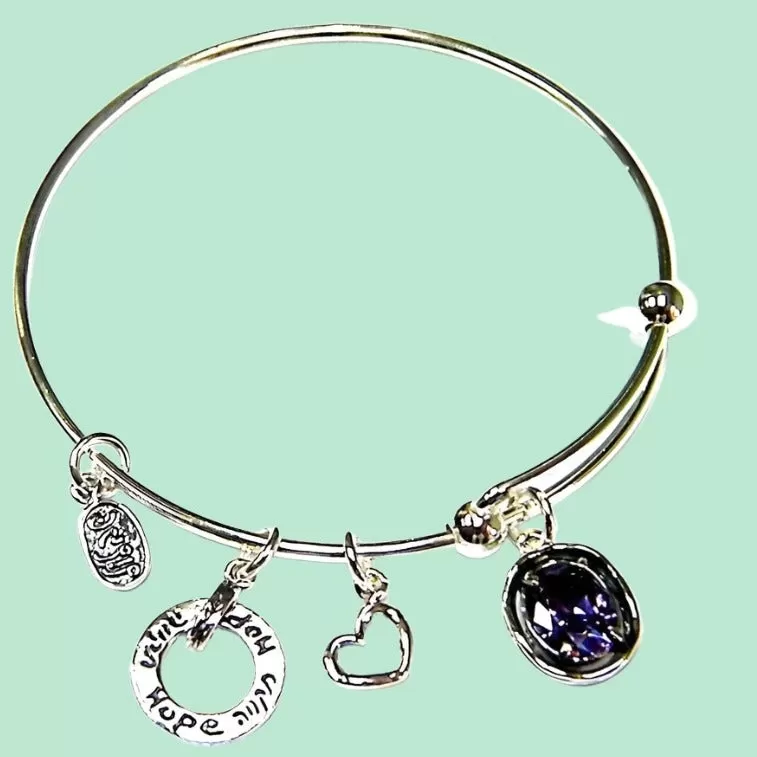 Hope Charms Bracelet Sterling Silver 925 Bluenoemi  Jewelry Amethyst Zircon