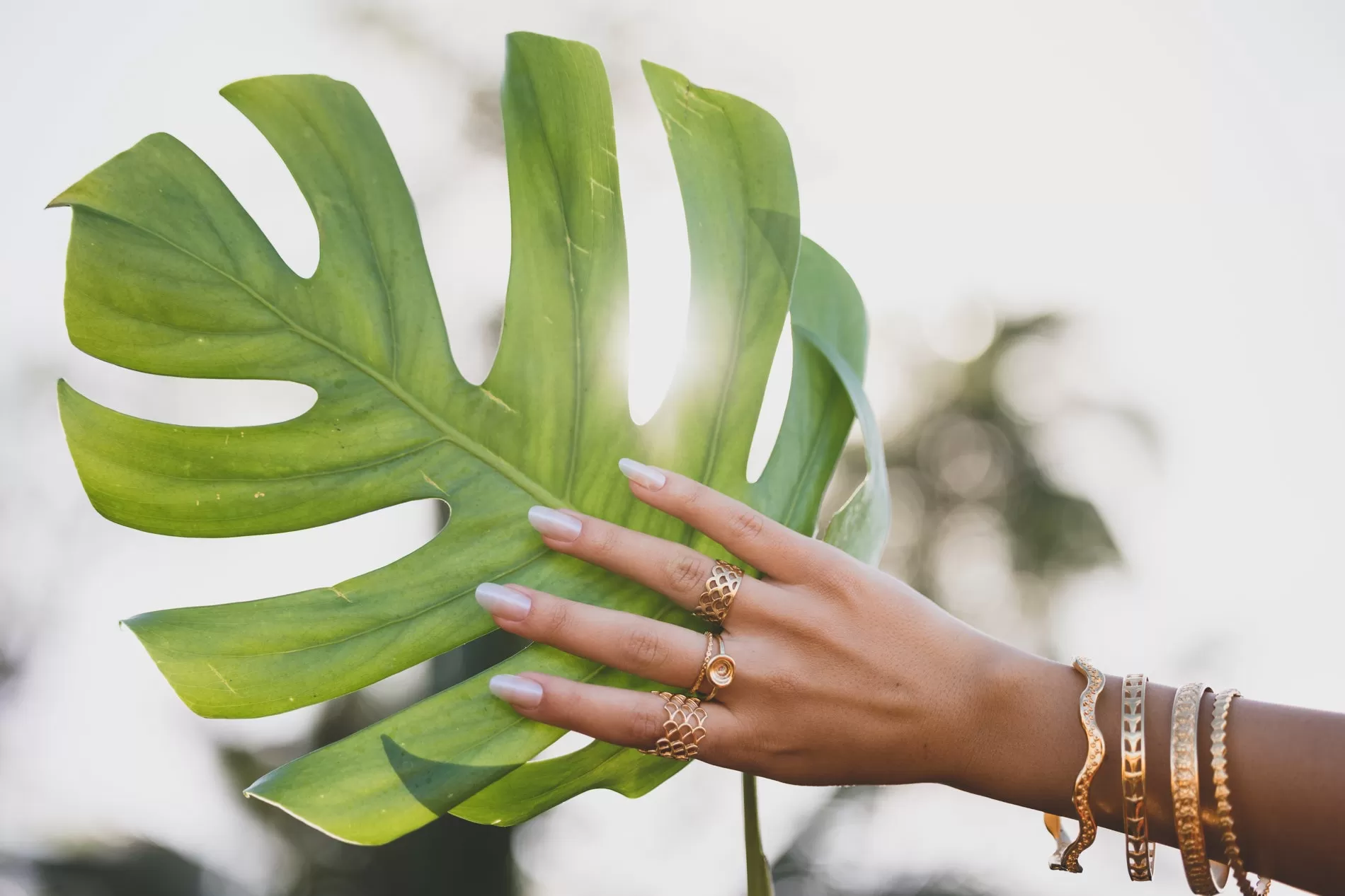 Puka Shimmer Ring